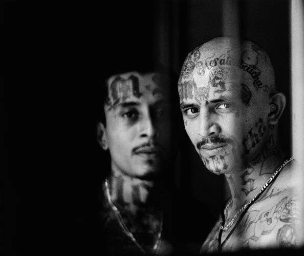 Безумная жизнь (2008) через торрент скачать Безумная жизнь (2008) фильм через торрент скачать