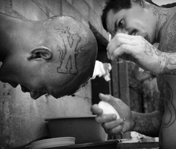 Безумная жизнь (2008) через торрент бесплатно Безумная жизнь (2008) фильм через торрент бесплатно