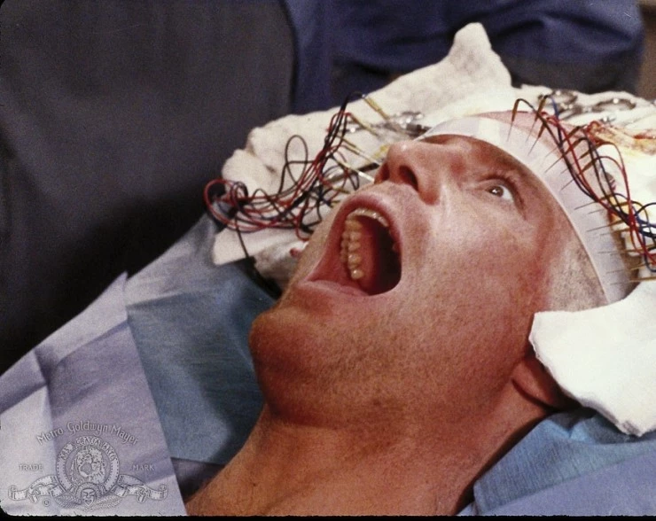 Обезьяна-убийца (1988) через торрент бесплатно Обезьяна-убийца (1988) фильм через торрент бесплатно