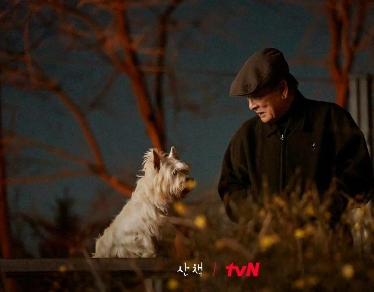 Прогулка (2023) в хорошем качестве через торрент Прогулка (2023) фильм в хорошем качестве через торрент