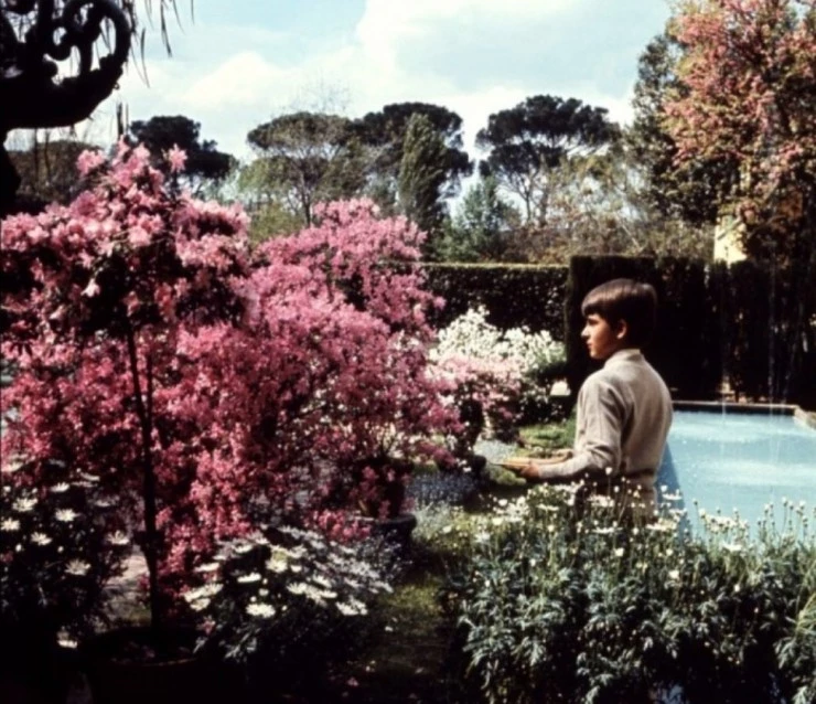 Непонятый (1967) через торрент бесплатно Непонятый (1967) фильм через торрент бесплатно