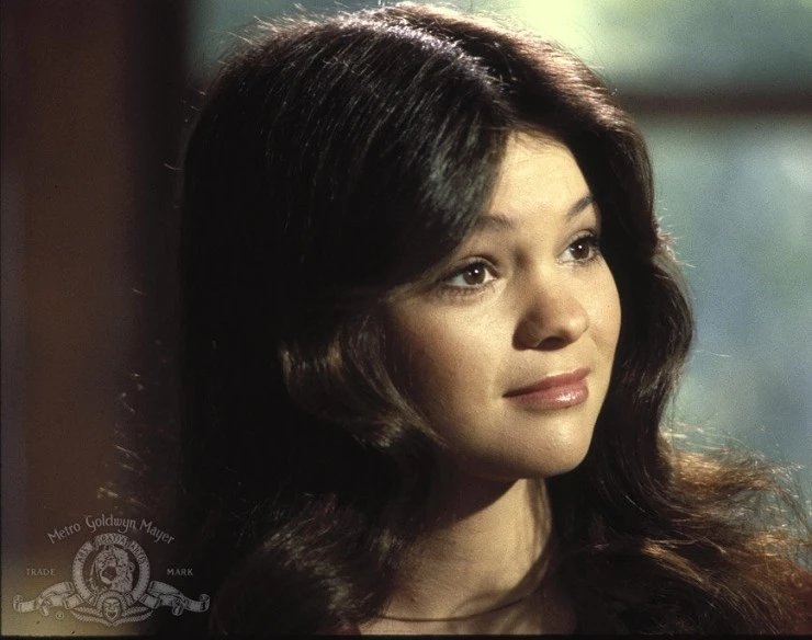 Собачья охранная система дома (1979) через торрент скачать Собачья охранная система дома (1979) фильм через торрент скачать