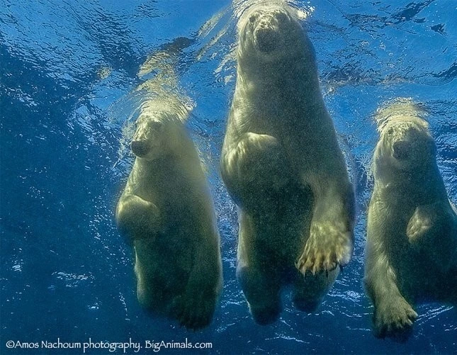 Картины в его жизни (2019) через торрент скачать Картины в его жизни (2019) фильм через торрент скачать