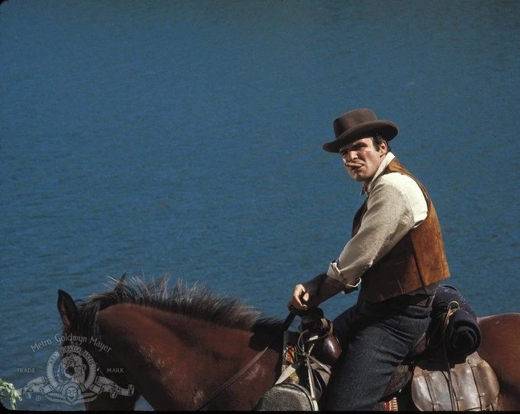 Сэм Виски (1969) через торрент скачать Сэм Виски (1969) фильм через торрент скачать