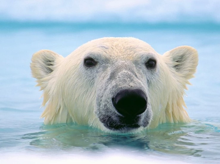 Картины в его жизни (2019) через торрент бесплатно Картины в его жизни (2019) фильм через торрент бесплатно