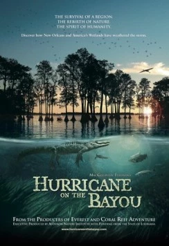 Ураган на Байу / Hurricane on the Bayou (2006) фильм скачать через торрент в хорошем качестве