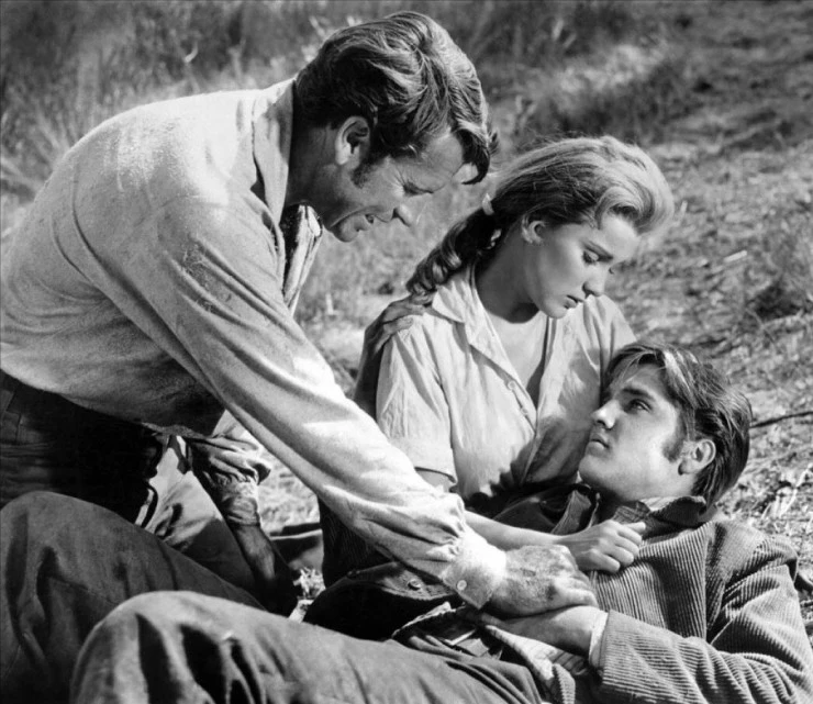 Люби меня нежно (1956) через торрент скачать Люби меня нежно (1956) фильм через торрент скачать