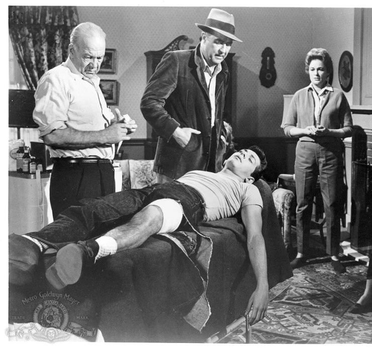 Паника в нулевом году (1962) через торрент бесплатно Паника в нулевом году (1962) фильм через торрент бесплатно