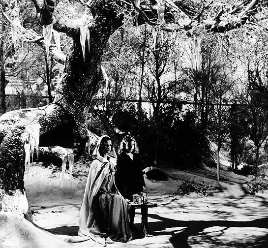 Проклятие людей-кошек (1944) через торрент бесплатно Проклятие людей-кошек (1944) фильм через торрент бесплатно