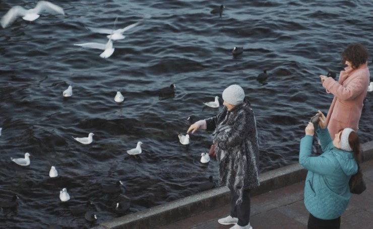 Навстречу свету (2022) через торрент скачать Навстречу свету (2022) фильм через торрент скачать