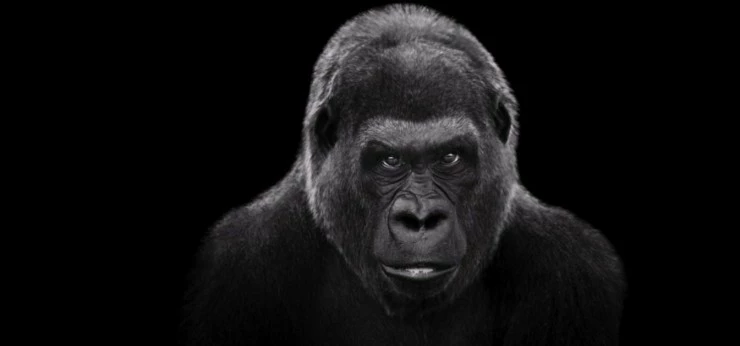 Посетители (2013) в хорошем качестве через торрент Посетители (2013) фильм в хорошем качестве через торрент