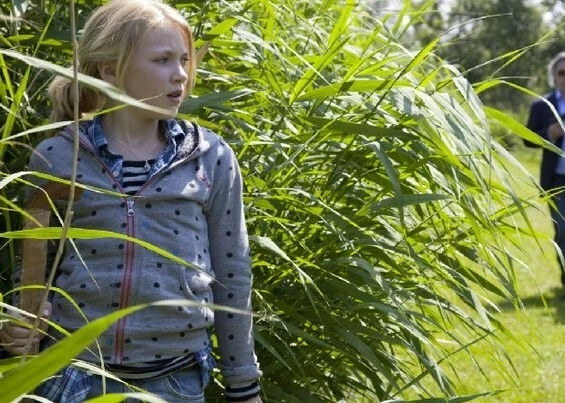 Секретное письмо (2010) через торрент скачать Секретное письмо (2010) фильм через торрент скачать