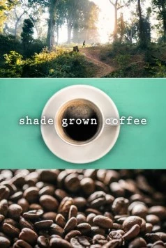 Кофе в тени / Shade Grown Coffee (2020) фильм скачать через торрент в хорошем качестве