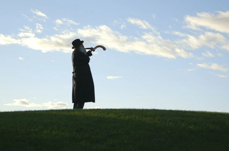 Странствующая муза (2014) через торрент скачать Странствующая муза (2014) фильм через торрент скачать