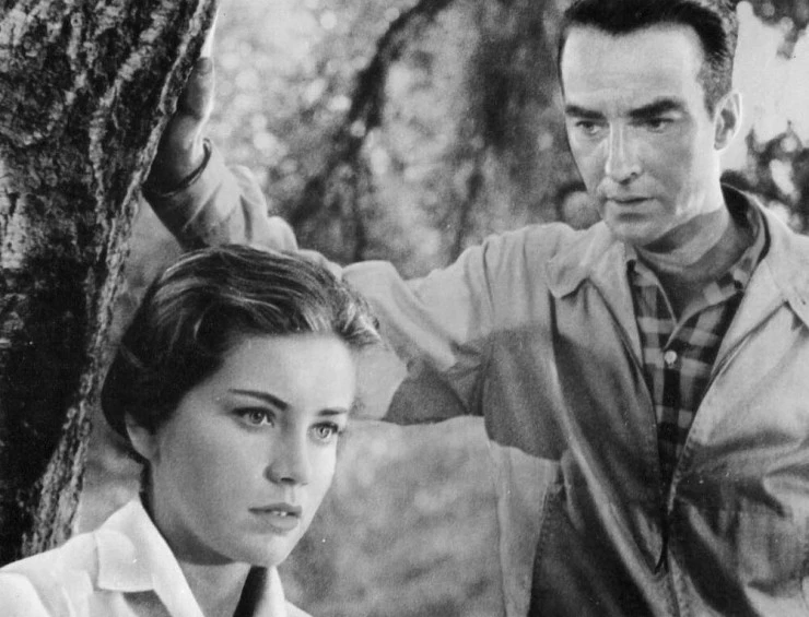 Одинокие сердца (1958) через торрент бесплатно Одинокие сердца (1958) фильм через торрент бесплатно