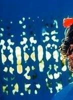 Слезы черного тигра (2000) через торрент бесплатно Слезы черного тигра (2000) фильм через торрент бесплатно