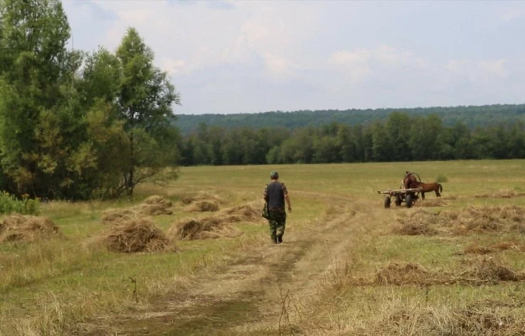 Живи, солдат, живи (2015) в хорошем качестве через торрент Живи, солдат, живи (2015) фильм в хорошем качестве через торрент