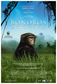 Скачать Шимпанзе: Возвращение в дикую природу / Bonobos: Back to the Wild (2015) фильм через торрент на русском