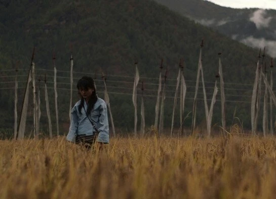 3 года и 3 месяца отступления (2015) через торрент скачать 3 года и 3 месяца отступления (2015) фильм через торрент скачать