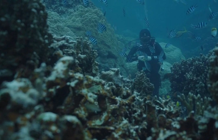 Молодой человек и глубокое море (2024) через торрент скачать Молодой человек и глубокое море (2024) фильм через торрент скачать