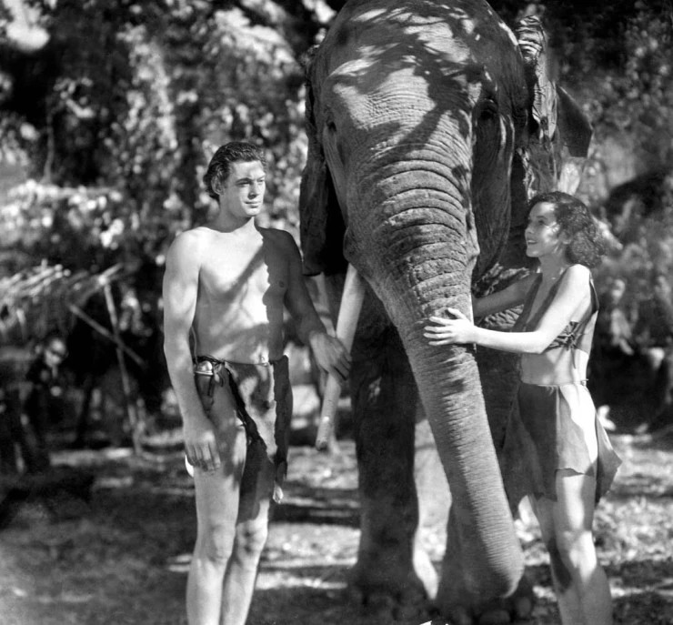Тарзан и его подруга (1934) в хорошем качестве через торрент Тарзан и его подруга (1934) фильм в хорошем качестве через торрент