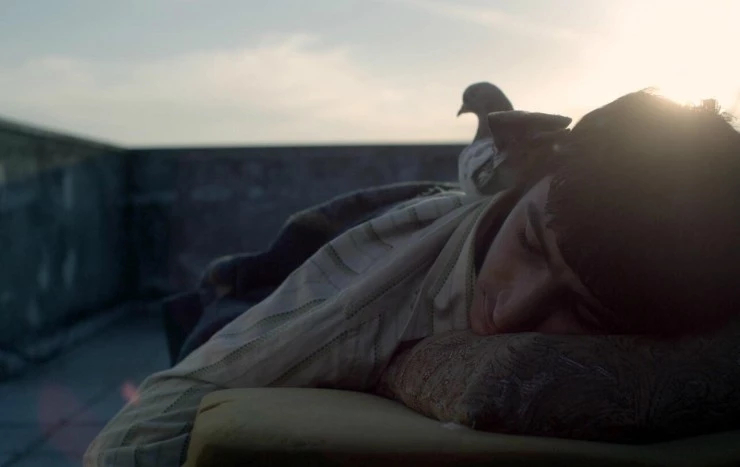 Письмо королю (2014) в хорошем качестве через торрент Письмо королю (2014) фильм в хорошем качестве через торрент