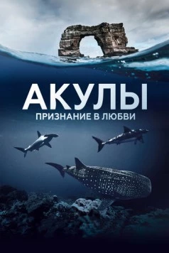 Акулы. Признание в любви / Au plus près des requins (2022) cериал скачать через торрент в хорошем качестве