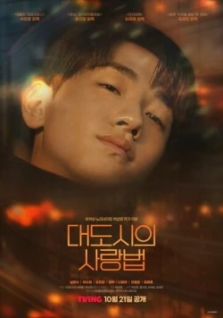 Любовь в большом городе / Daedosiui sarangbeom (2024) cериал скачать через торрент в хорошем качестве