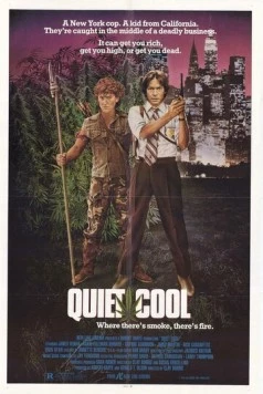 Тихая прохлада / Quiet Cool (1986) фильм скачать через торрент в хорошем качестве
