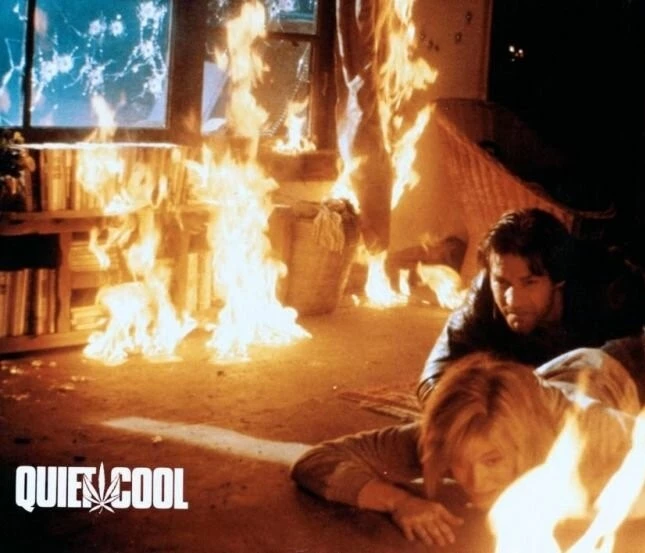 Тихая прохлада (1986) в хорошем качестве через торрент Тихая прохлада (1986) фильм в хорошем качестве через торрент