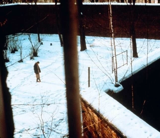 Человек из железа (1981) через торрент скачать Человек из железа (1981) фильм через торрент скачать