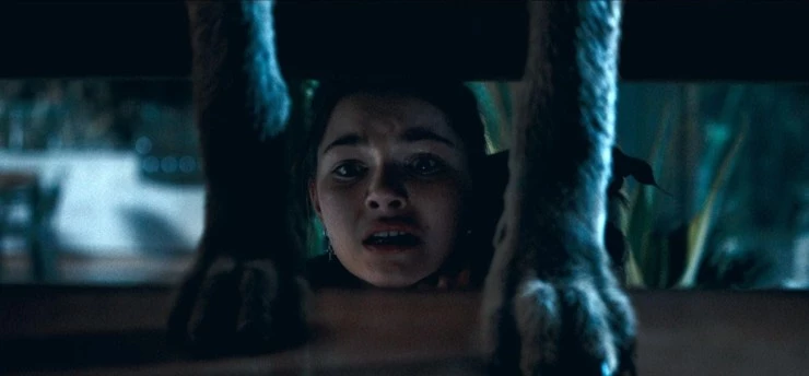 Койот (2025) через торрент скачать Койот (2025) фильм через торрент скачать