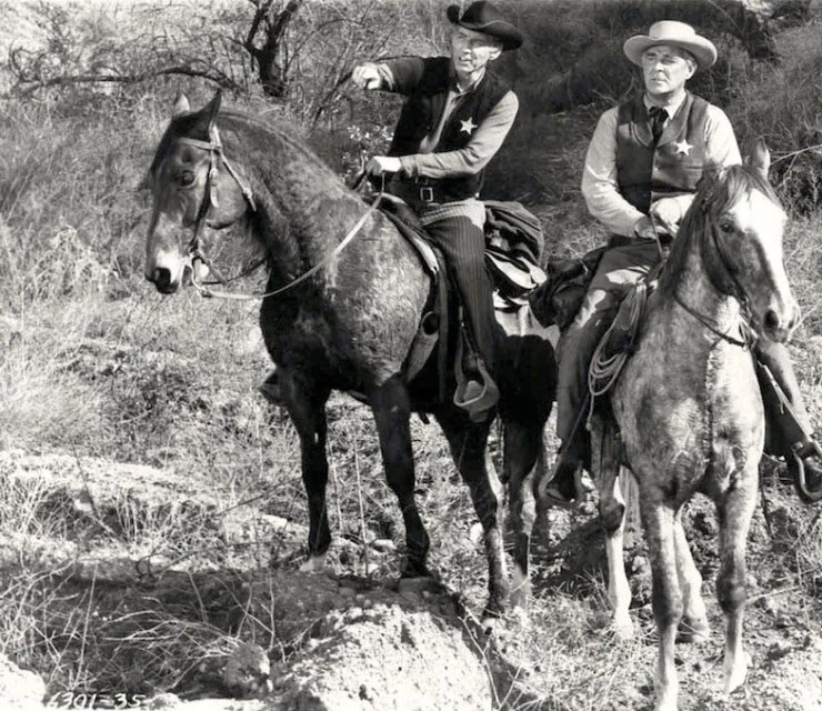 Меткий Ястреб (1963) через торрент скачать Меткий Ястреб (1963) фильм через торрент скачать