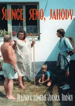 Экспериментатор / Slunce, seno, jahody (1984) фильм скачать через торрент в хорошем качестве
