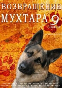 Возвращение Мухтара 9 (2013) cериал скачать через торрент в хорошем качестве