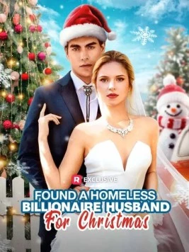 Муж-миллиардер на новогодние праздники / Found a Homeless Billionaire Husband for Christmas (2024) фильм скачать через торрент в хорошем качестве