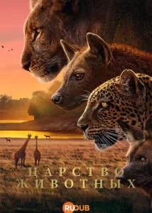Царство животных / Королевство / Kingdom (2025) cериал скачать через торрент в хорошем качестве