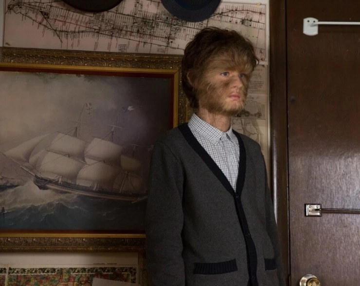 Реальная история мальчика-волчонка (2019) в хорошем качестве через торрент Реальная история мальчика-волчонка (2019) фильм в хорошем качестве через торрент