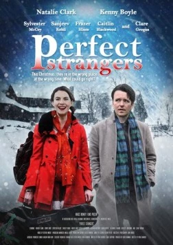 Идеальные незнакомцы / Perfect Strangers (2020) фильм скачать через торрент в хорошем качестве